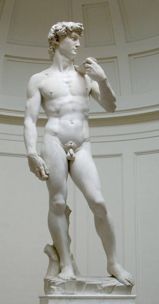 Michelangelo Bonarroti, David, 1501-1504, Galleria dell’Accademia, Firenze